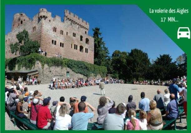 セレスタAux Plaisirs D'Alsace Centre Historiqueアパートメント エクステリア 写真